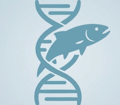 Ilustración de doble hélice de ADN con pez salmón, símbolo de tratamientos revitalizadores con bioestimuladores en clínica estética Dr. Perdomo